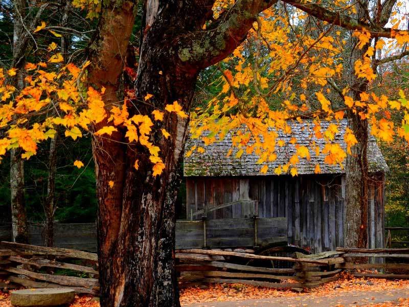 电竞比赛奖金丰厚，选手们激烈角逐