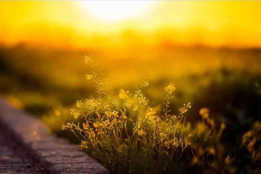 电竞比赛奖金丰厚，选手们激烈角逐