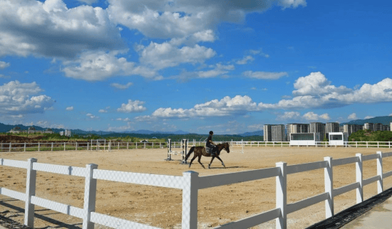 两江国际马术赛事中心正(zhèng)式开馆