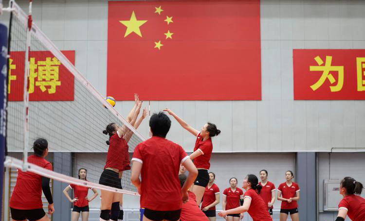 解读中国女排的精密战术调整