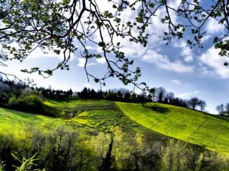 英雄联盟四川总决赛全球顶尖战队对决